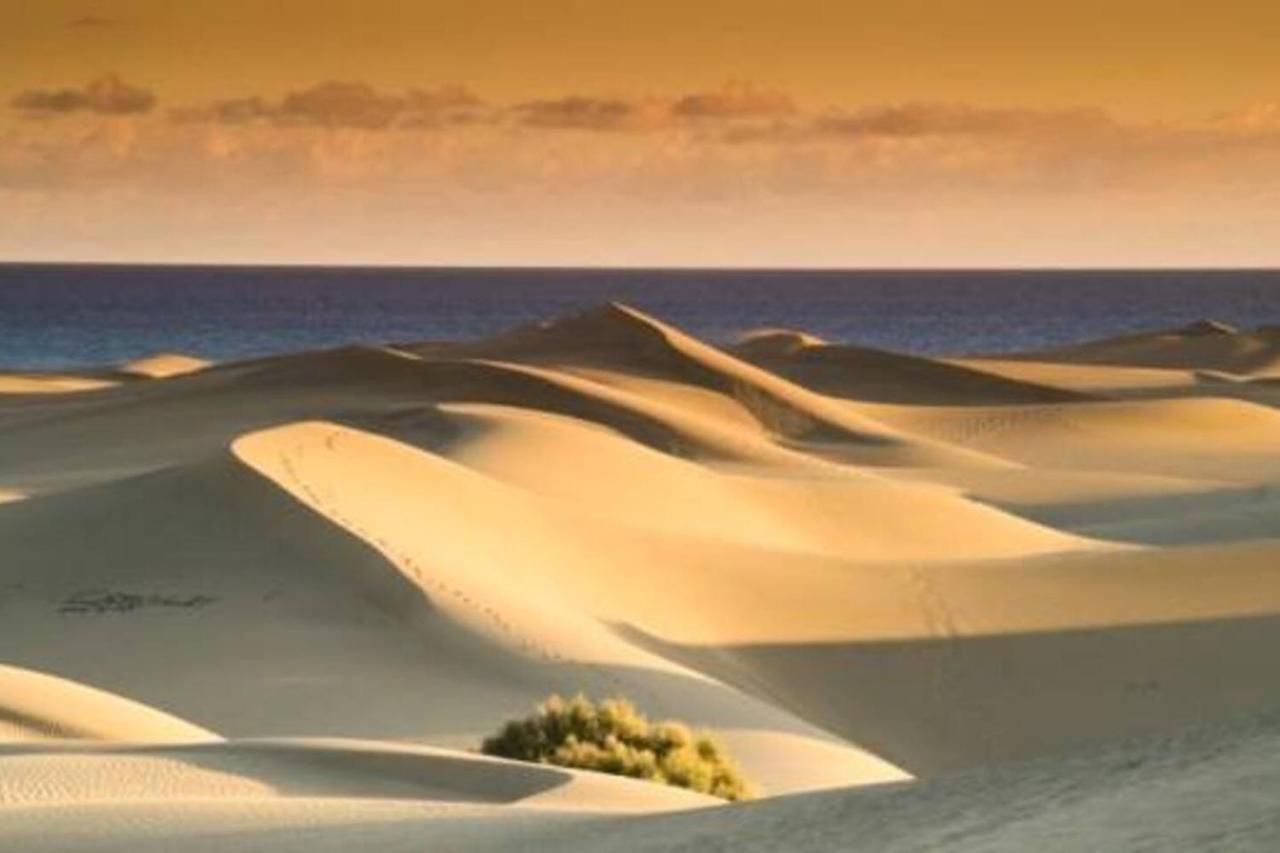 Amazing Bungalow With Wi-Fi For Relaxing Holidays Maspalomas  Exterior foto